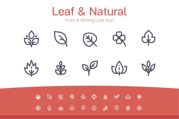 Leaf Natural Line Icon Review for Embroidery Projects