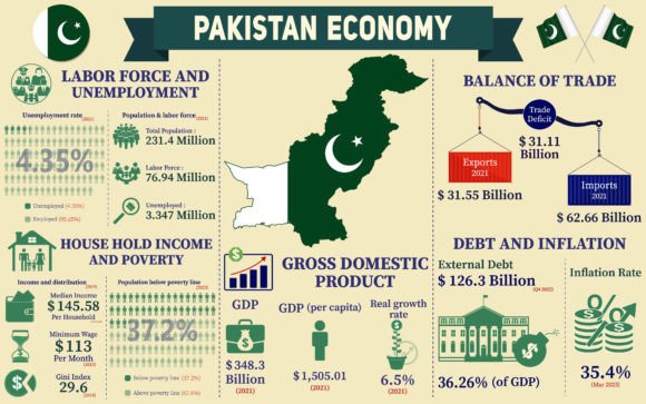 Pakistan Economy Infographic Charts - Graphics for Digital Selling